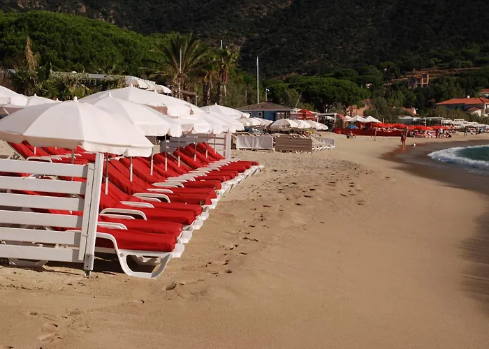 Bel Saint Clair-lavandou Apartman *